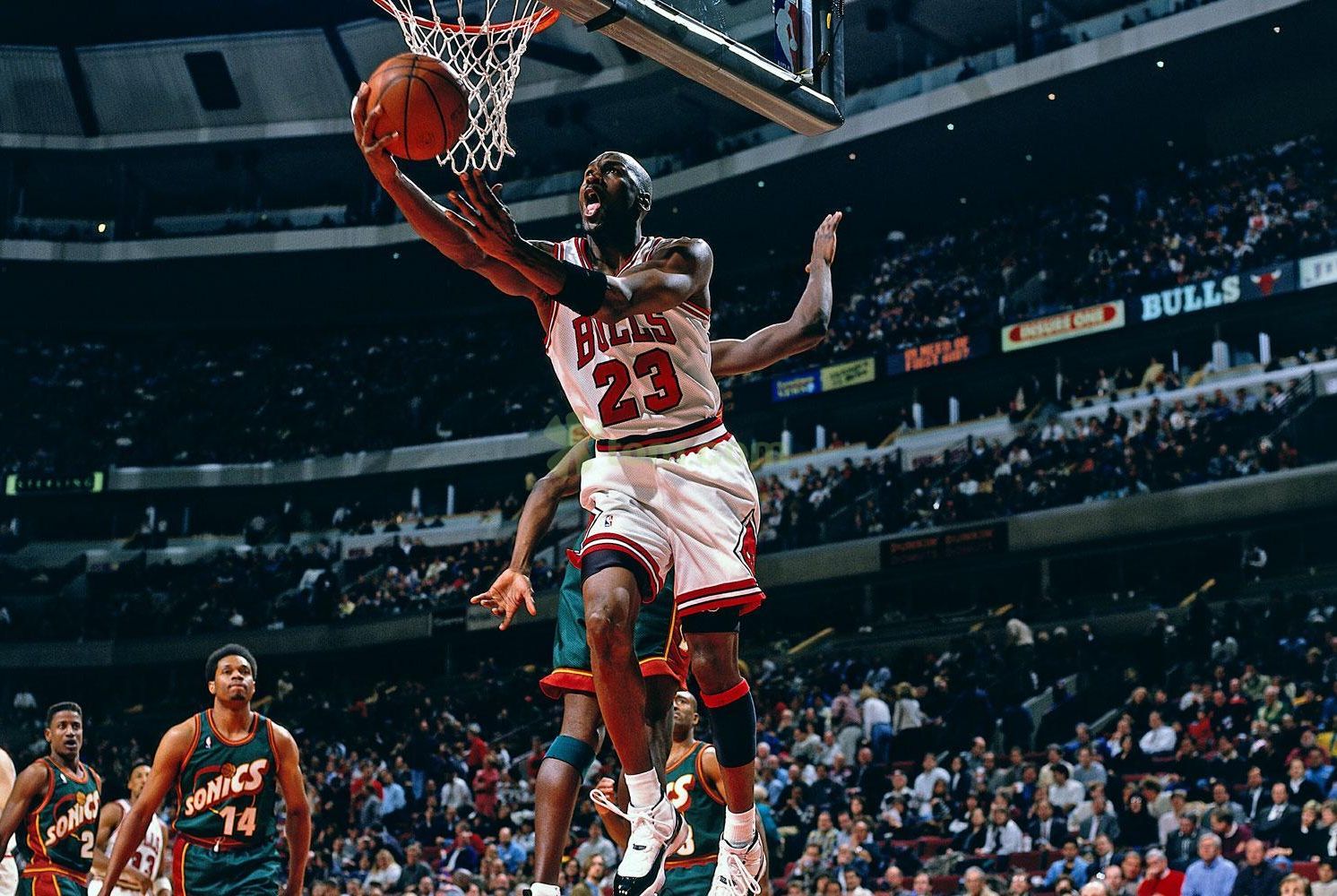 和更活跃的 和更活跃的