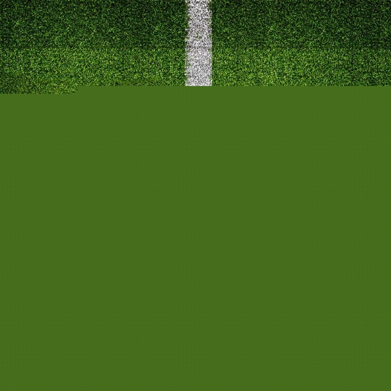 不断提高了 不断提高了