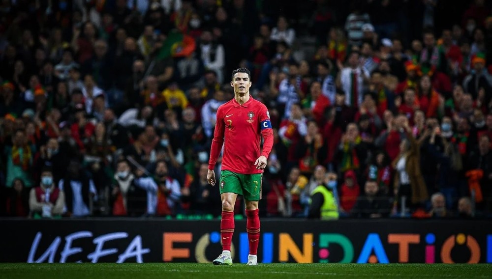 在这篇文章 在这篇文章